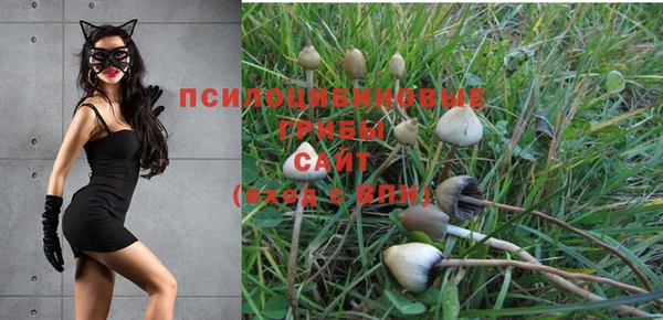 ПСИЛОЦИБИНОВЫЕ ГРИБЫ Володарск